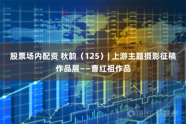 股票场内配资 秋韵(125)| 上游主题摄影征稿作品展——曹红祖作品