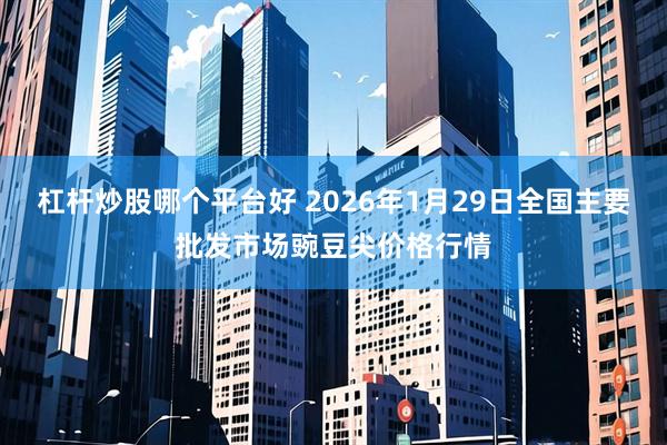 杠杆炒股哪个平台好 2026年1月29日全国主要批发市场豌豆尖价格行情