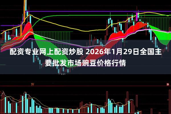 配资专业网上配资炒股 2026年1月29日全国主要批发市场豌豆价格行情