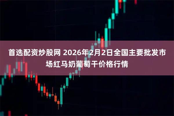 首选配资炒股网 2026年2月2日全国主要批发市场红马奶葡萄干价格行情