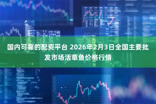 国内可靠的配资平台 2026年2月3日全国主要批发市场活草鱼价格行情