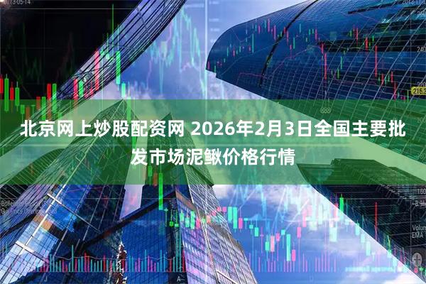 北京网上炒股配资网 2026年2月3日全国主要批发市场泥鳅价格行情
