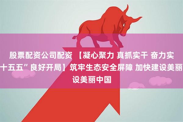 股票配资公司配资 【凝心聚力 真抓实干 奋力实现“十五五”良好开局】筑牢生态安全屏障 加快建设美丽中国