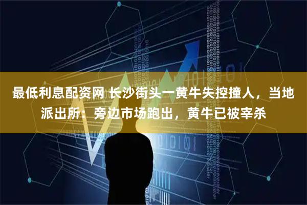 最低利息配资网 长沙街头一黄牛失控撞人，当地派出所：旁边市场跑出，黄牛已被宰杀